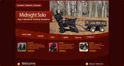 Desktop Screenshot of midnightsolo.com