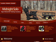 Tablet Screenshot of midnightsolo.com